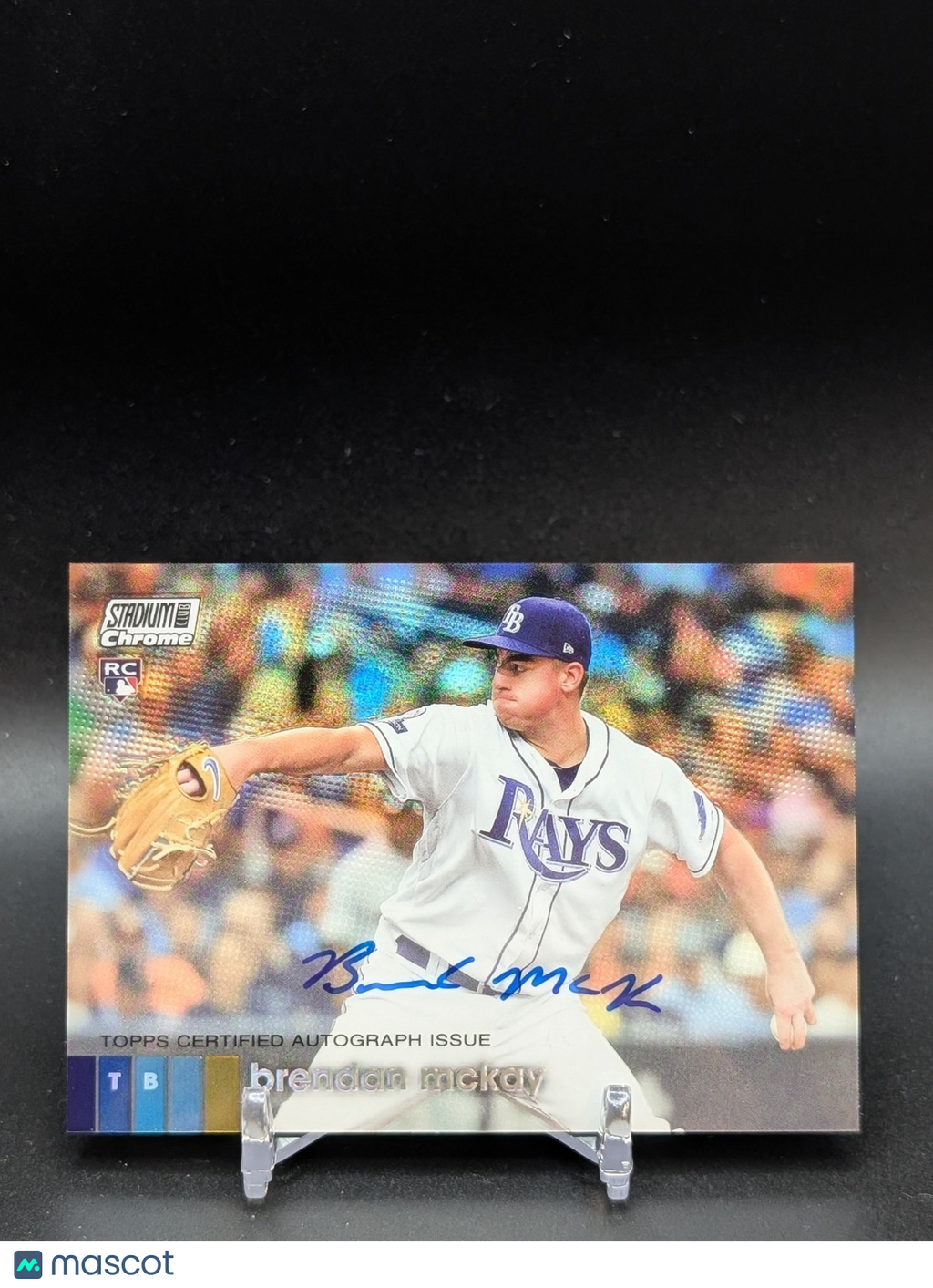 Collect Binghamton
