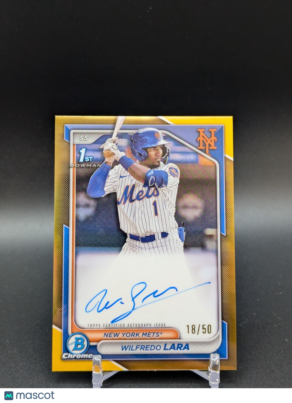 Collect Binghamton