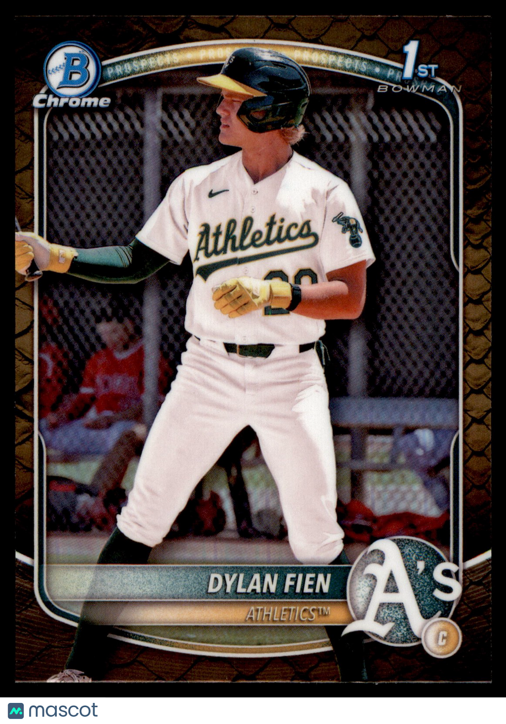 Collect Binghamton