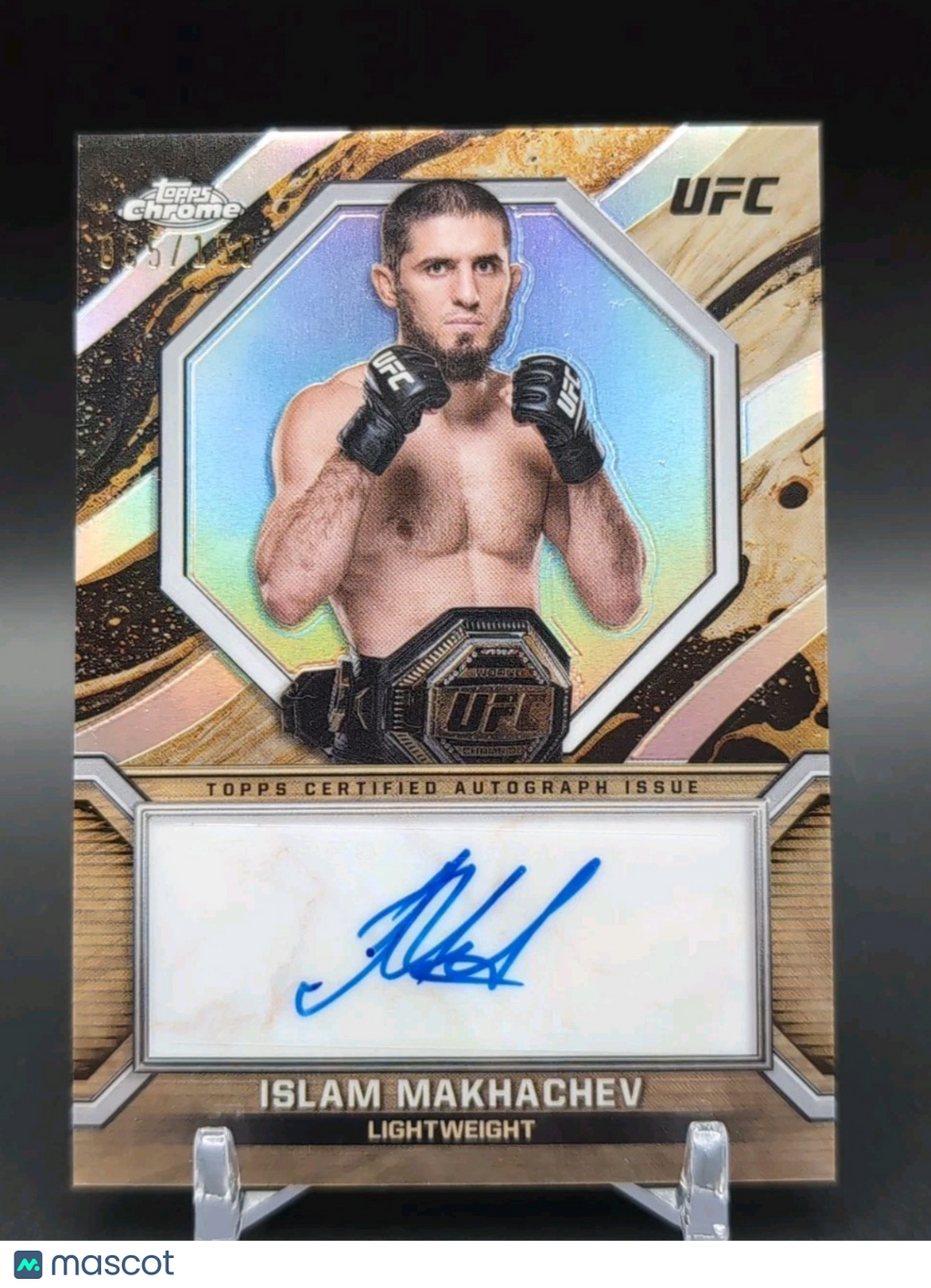 Collect Binghamton