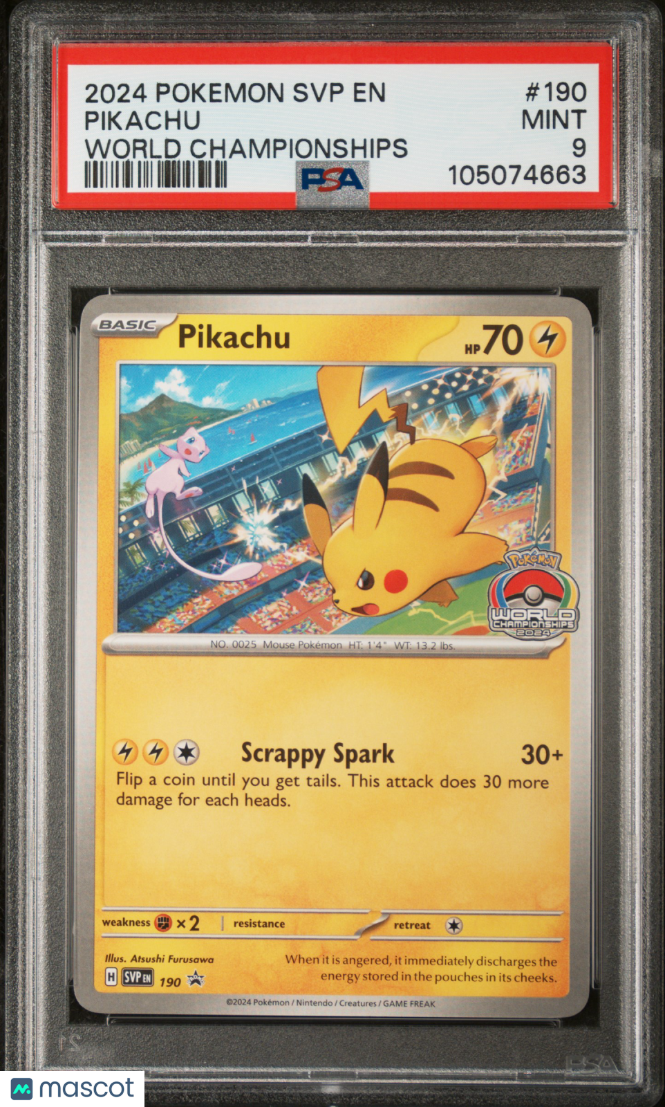 Collect Binghamton