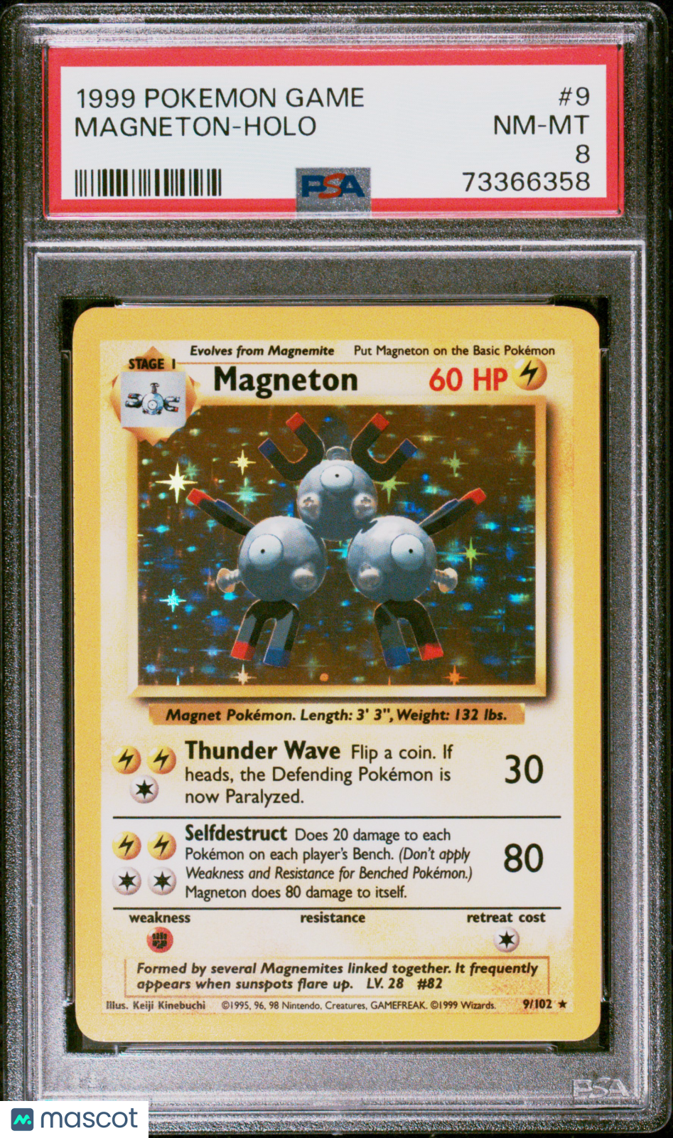 Collect Binghamton