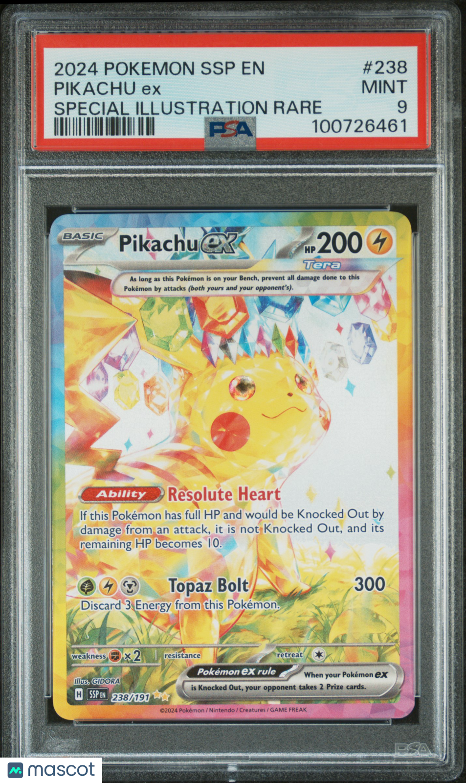Collect Binghamton